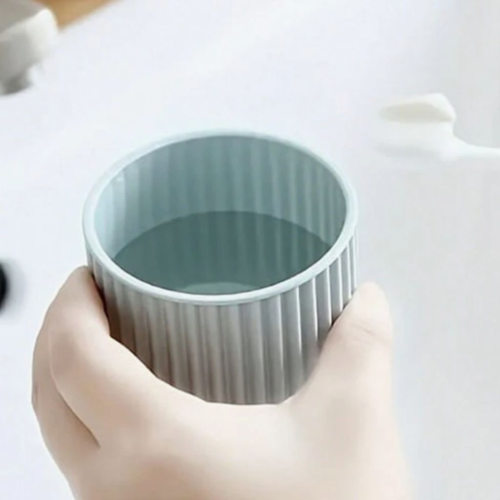 Toothbrush holder