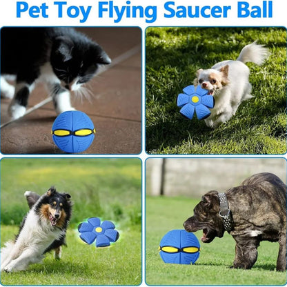 Flying Saucer Ball 