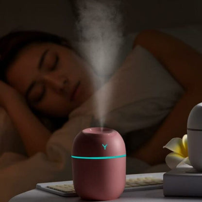 Mini Humidifier 